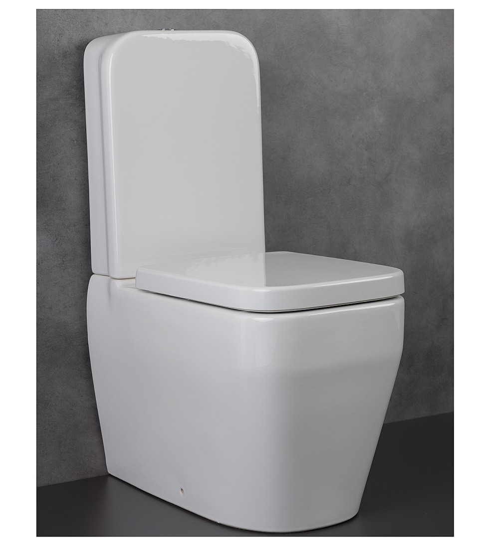 ALISEO Cuvette Monobloc Sur Pied - Blanc
